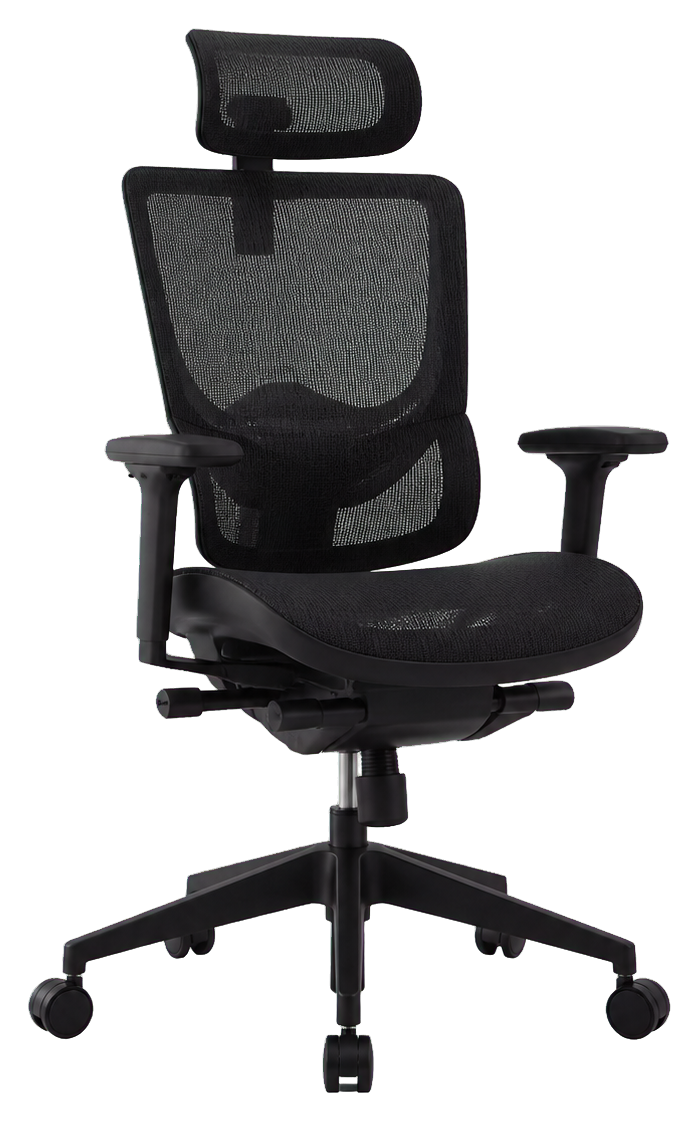 Black ergonomic mesh office chair